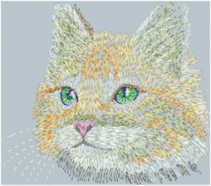 Вышивальная машина Janome Memory Craft 500 E